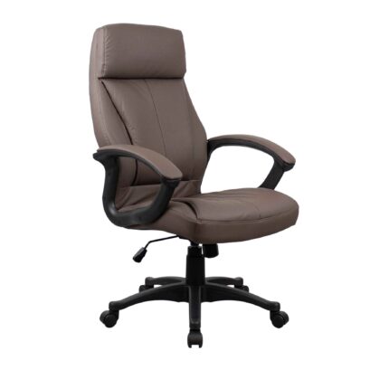 fotoliu BX 8850 brown